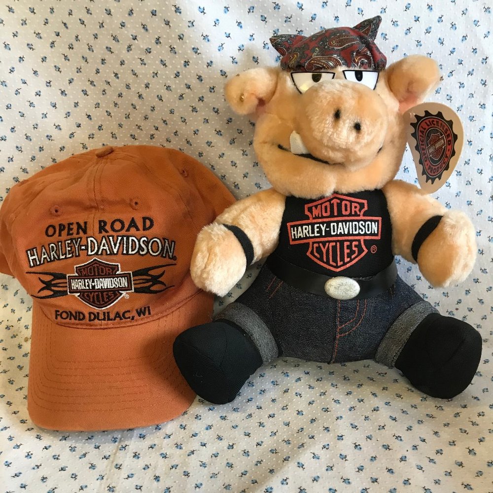 Harley Davidson Riding Companion and Harley Cap.